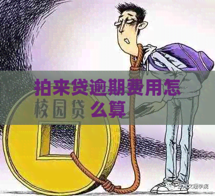 拍来贷逾期费用怎么算