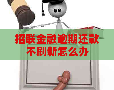招联金融逾期还款不刷新怎么办