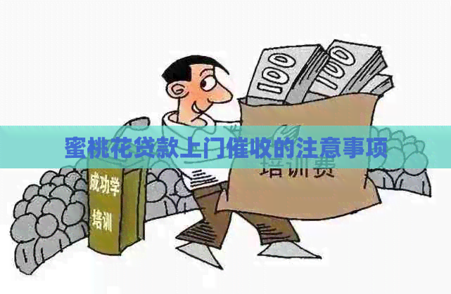 蜜桃花贷款上门的注意事项