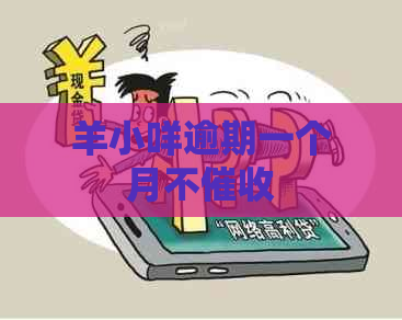 羊小咩逾期一个月不
