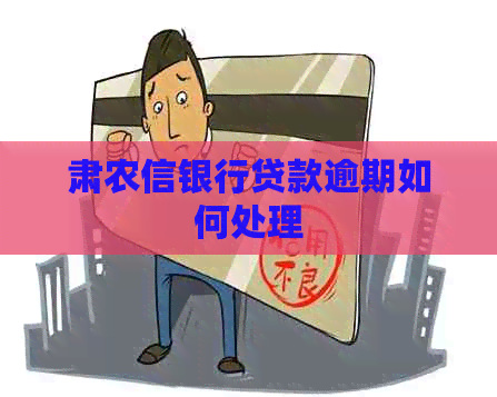 肃农信银行贷款逾期如何处理