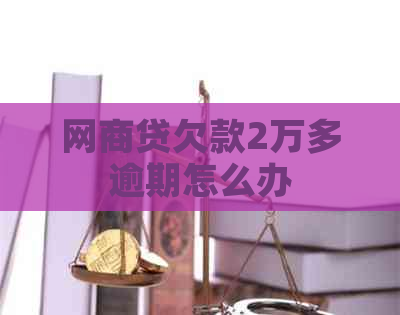 白条贷欠款2万多逾期怎么办
