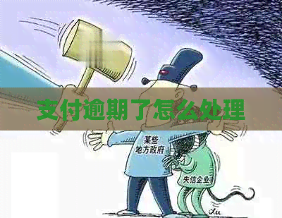支付逾期了怎么处理