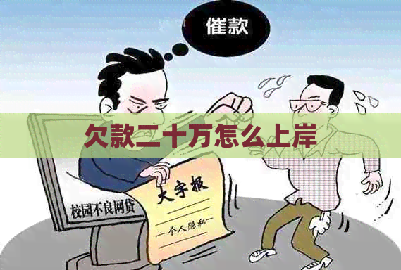 欠款二十万怎么上岸