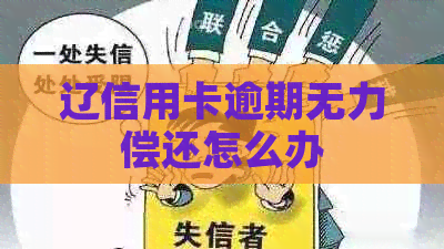 辽信用卡逾期无力偿还怎么办
