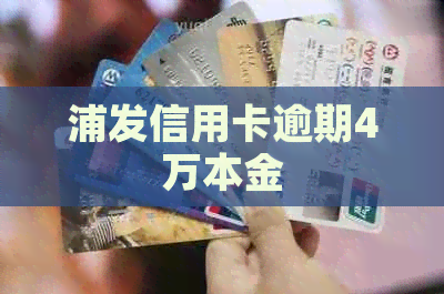 浦发信用卡逾期4万本金