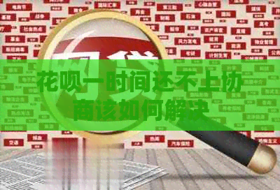 白条一时间还不上协商该如何解决