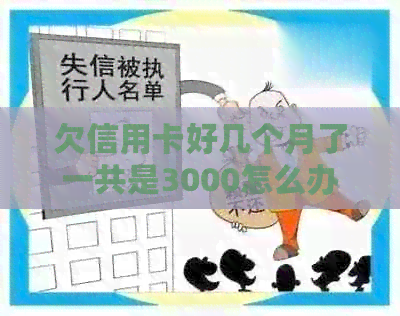 欠信用卡好几个月了一共是3000怎么办？6个月没有还款的处理方法