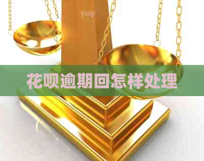 信用卡逾期回怎样处理