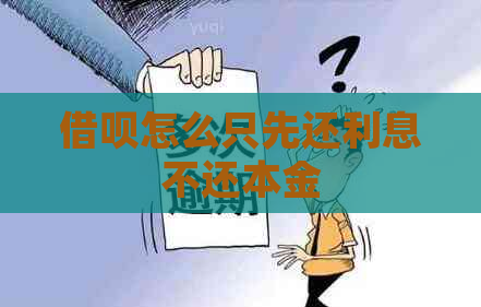 网贷怎么只先还利息不还本金
