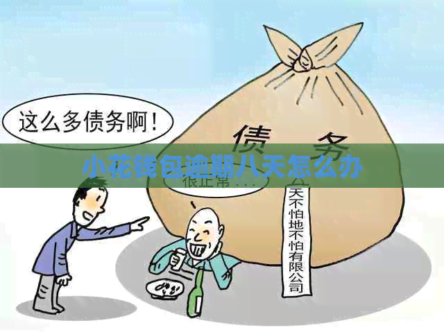 小花钱包逾期八天怎么办