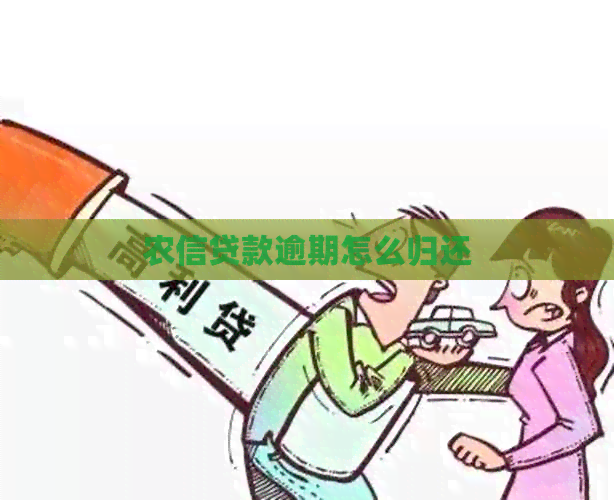 农信贷款逾期怎么归还