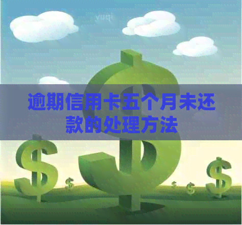 逾期信用卡五个月未还款的处理方法