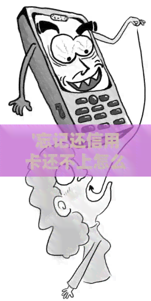 '忘记还信用卡还不上怎么办呢'如何解决和投诉，以及逾期后的处理方式。