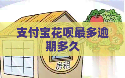信用卡白条最多逾期多久