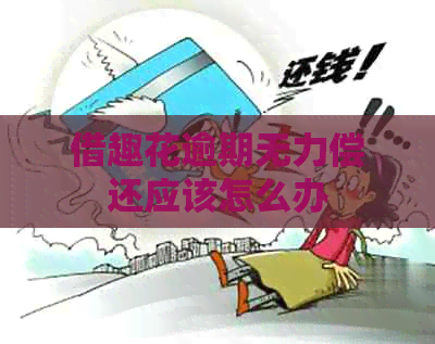 借趣花逾期无力偿还应该怎么办