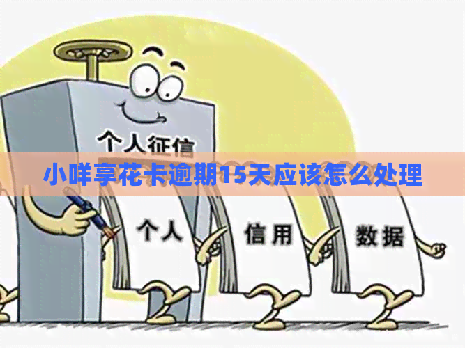 小咩享花卡逾期15天应该怎么处理