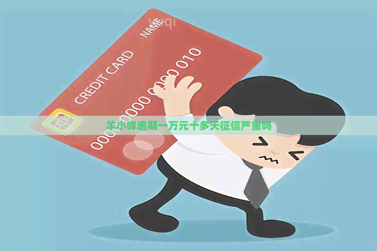 羊小咩逾期一万元十多天严重吗