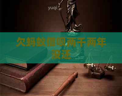 欠蚂蚁借呗两千两年没还