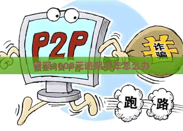 网贷3000元逾期半年怎么办