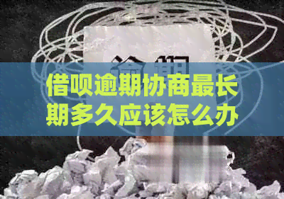 信用卡逾期协商最长期多久应该怎么办