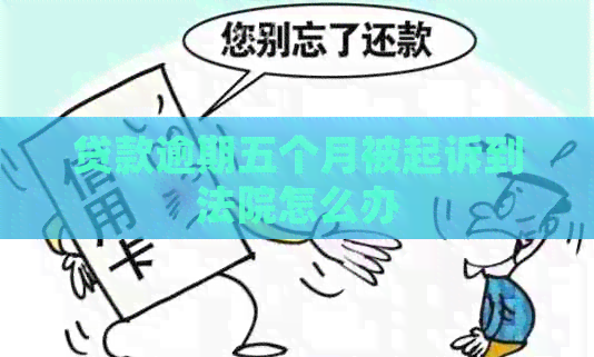 贷款逾期五个月被起诉到法院怎么办