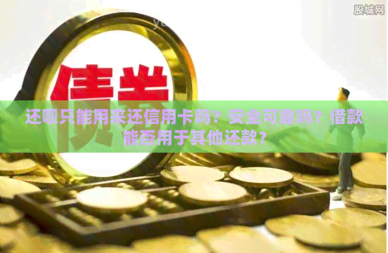 还款只能用来还信用卡吗？安全可靠吗？借款能否用于其他还款？