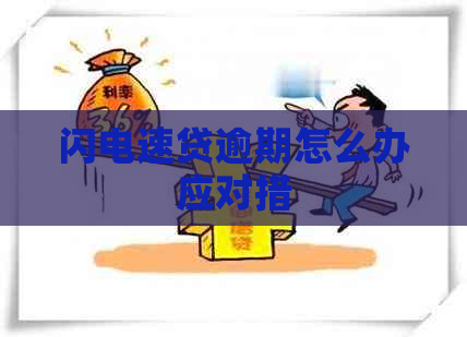 闪电速贷逾期怎么办应对措