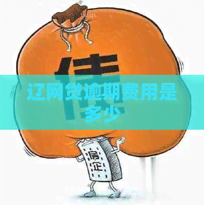 辽网贷逾期费用是多少