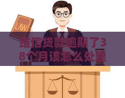 维信贷款逾期了38个月该怎么处理