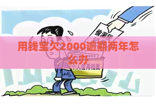 用钱宝欠2000逾期两年怎么办