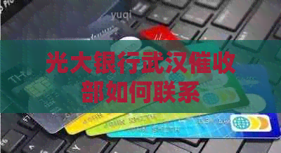光大银行武汉部如何联系