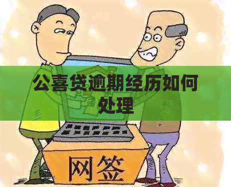 公喜贷逾期经历如何处理