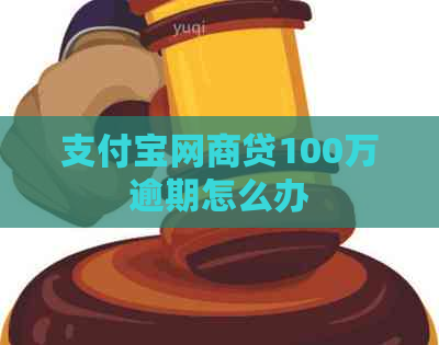 信用卡白条贷100万逾期怎么办