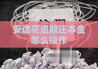 安逸花逾期还本金怎么操作