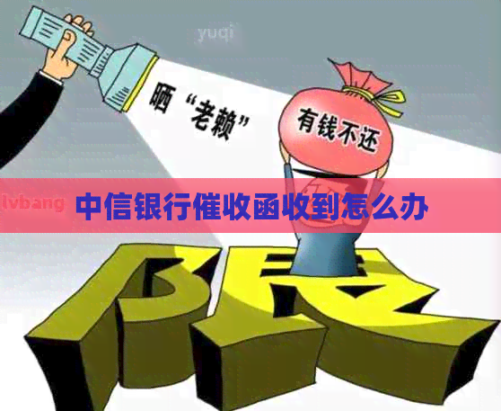 中信银行函收到怎么办