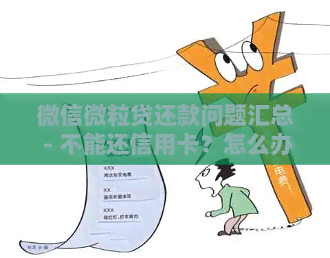 微信微粒贷还款问题汇总 - 不能还信用卡？怎么办？