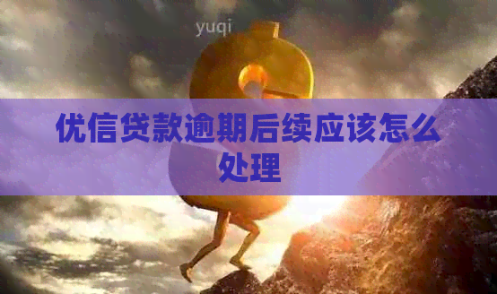 优信贷款逾期后续应该怎么处理