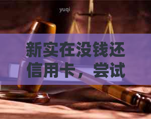 新实在没钱还信用卡，尝试以下方法解决困扰！