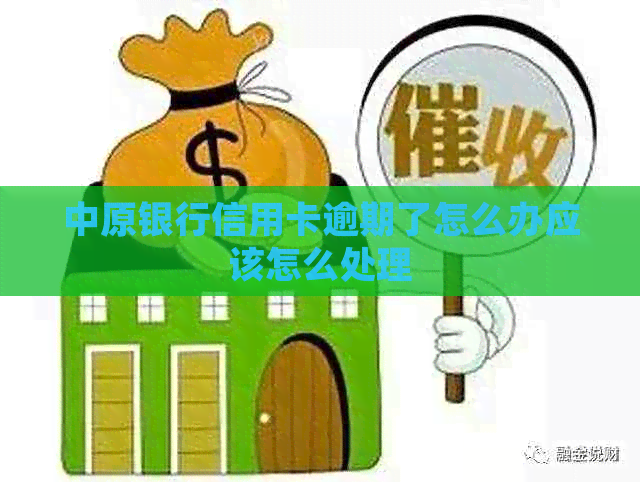 中原银行信用卡逾期了怎么办应该怎么处理