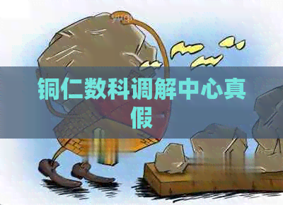 铜仁数科调解中心真假