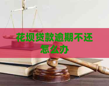 花坝贷款逾期不还怎么办