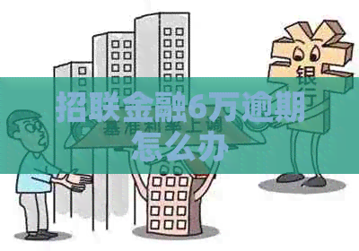 招联金融6万逾期怎么办