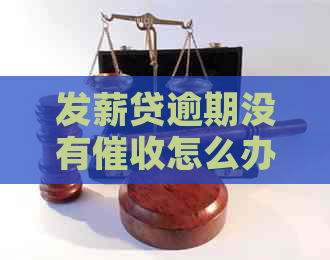 发薪贷逾期没有怎么办