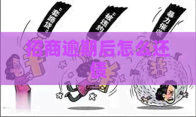 招商逾期后怎么还债
