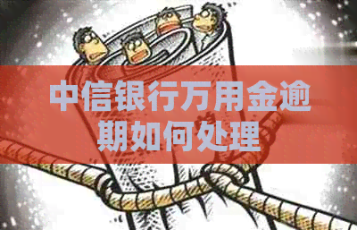 中信银行万用金逾期如何处理
