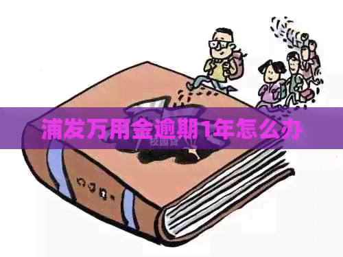 浦发万用金逾期1年怎么办