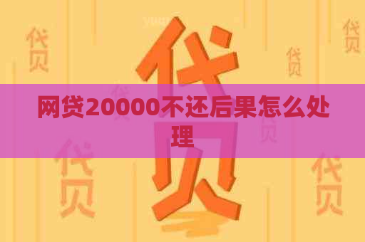 网贷20000不还后果怎么处理