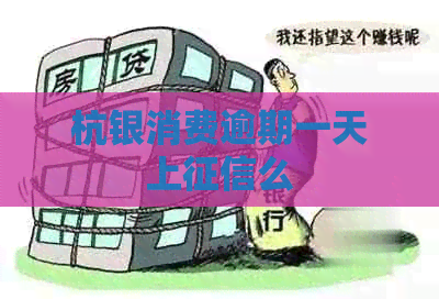 杭银消费逾期一天上么