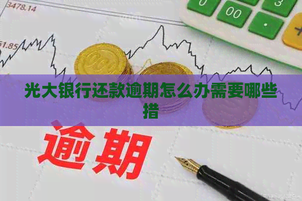 光大银行还款逾期怎么办需要哪些措